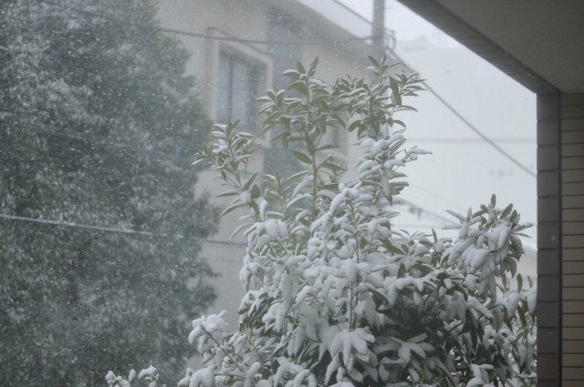 雪景色